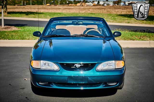 used 1995 Ford Mustang car, priced at $13,000