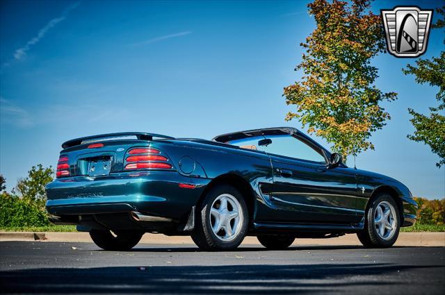 used 1995 Ford Mustang car, priced at $13,000