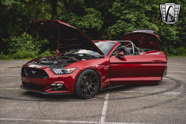 used 2017 Ford Mustang car, priced at $47,000