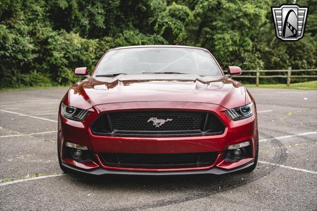 used 2017 Ford Mustang car, priced at $47,000