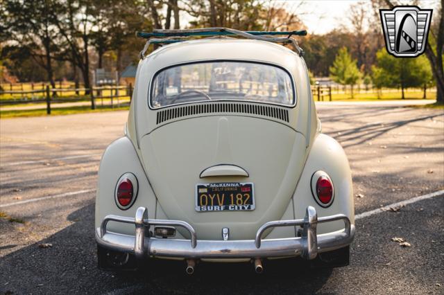 used 1965 Volkswagen Beetle (Pre-1980) car, priced at $17,000