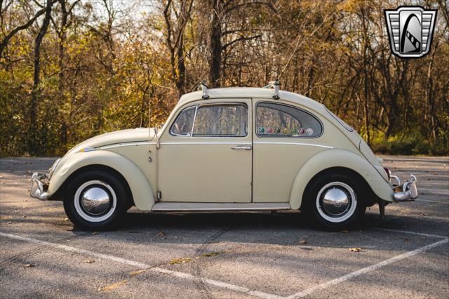 used 1965 Volkswagen Beetle (Pre-1980) car, priced at $17,000