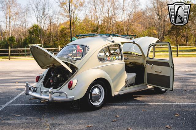 used 1965 Volkswagen Beetle (Pre-1980) car, priced at $17,000