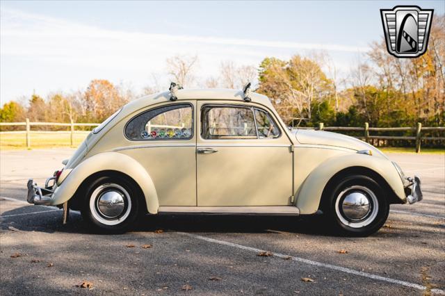 used 1965 Volkswagen Beetle (Pre-1980) car, priced at $17,000