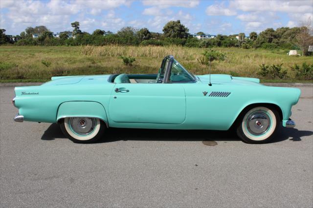 used 1955 Ford Thunderbird car, priced at $40,000