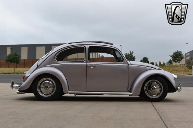 used 1967 Volkswagen Beetle (Pre-1980) car, priced at $20,000