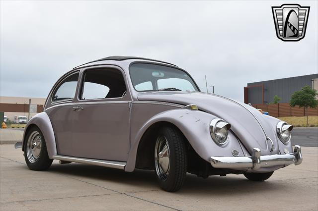 used 1967 Volkswagen Beetle (Pre-1980) car, priced at $20,000