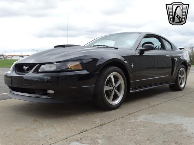 used 2003 Ford Mustang car, priced at $27,000