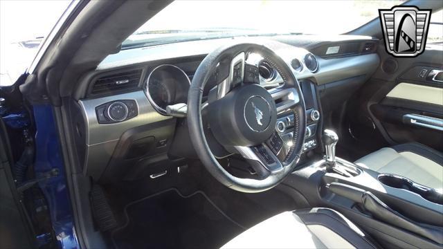 used 2015 Ford Mustang car, priced at $48,000