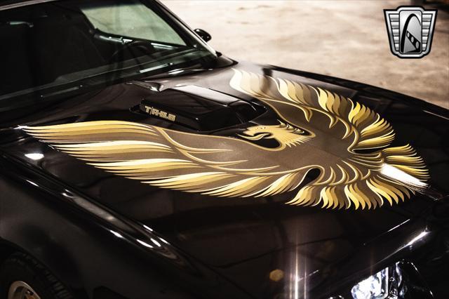 used 1979 Pontiac Firebird car, priced at $117,000