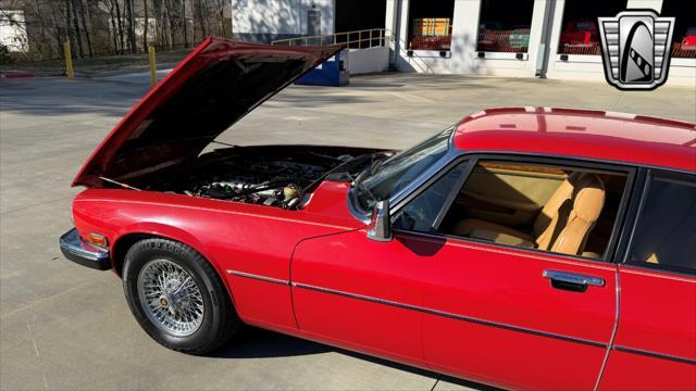 used 1983 Jaguar XJS car, priced at $11,500