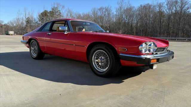 used 1983 Jaguar XJS car, priced at $11,500