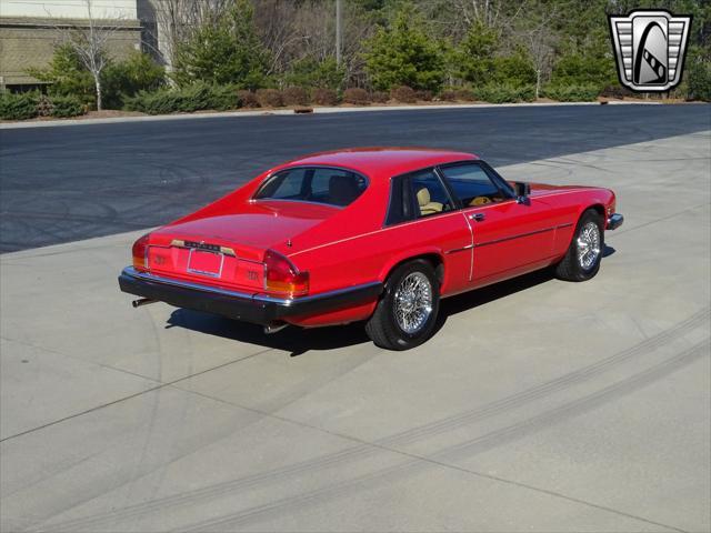 used 1983 Jaguar XJS car, priced at $13,000