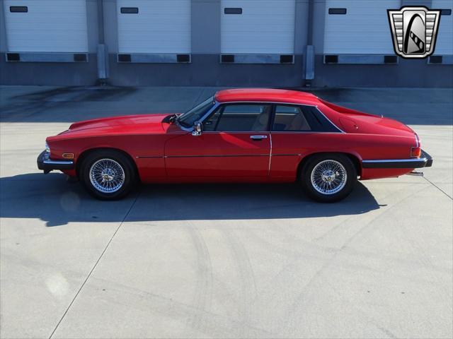 used 1983 Jaguar XJS car, priced at $13,000