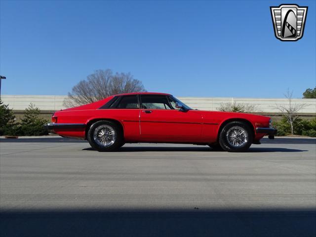 used 1983 Jaguar XJS car, priced at $13,000