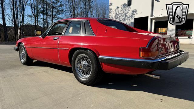 used 1983 Jaguar XJS car, priced at $11,500