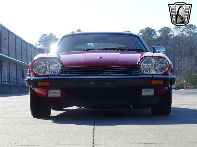 used 1983 Jaguar XJS car, priced at $13,000