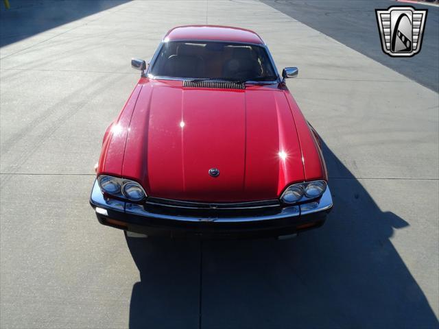 used 1983 Jaguar XJS car, priced at $13,000