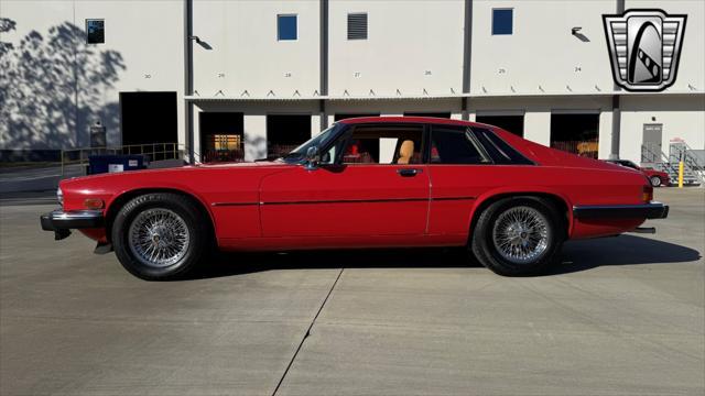 used 1983 Jaguar XJS car, priced at $11,500