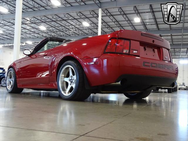 used 2003 Ford Mustang car, priced at $34,000