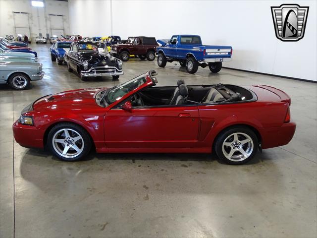 used 2003 Ford Mustang car, priced at $34,000