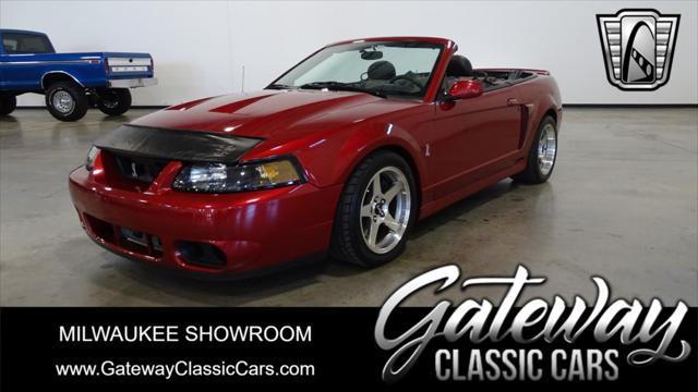 used 2003 Ford Mustang car, priced at $34,000