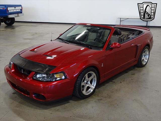 used 2003 Ford Mustang car, priced at $34,000