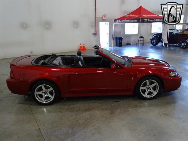 used 2003 Ford Mustang car, priced at $34,000