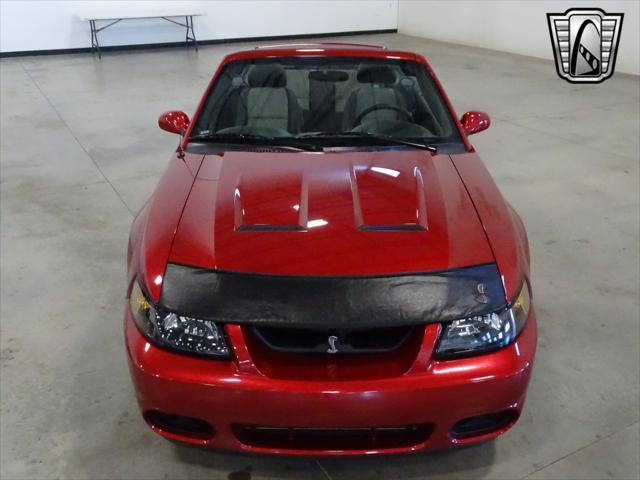 used 2003 Ford Mustang car, priced at $34,000