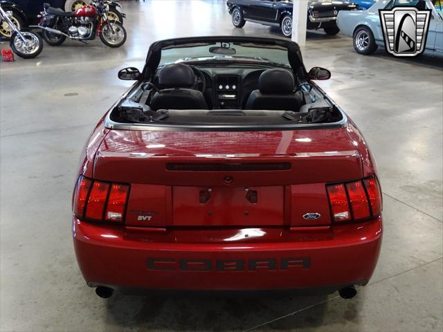 used 2003 Ford Mustang car, priced at $34,000