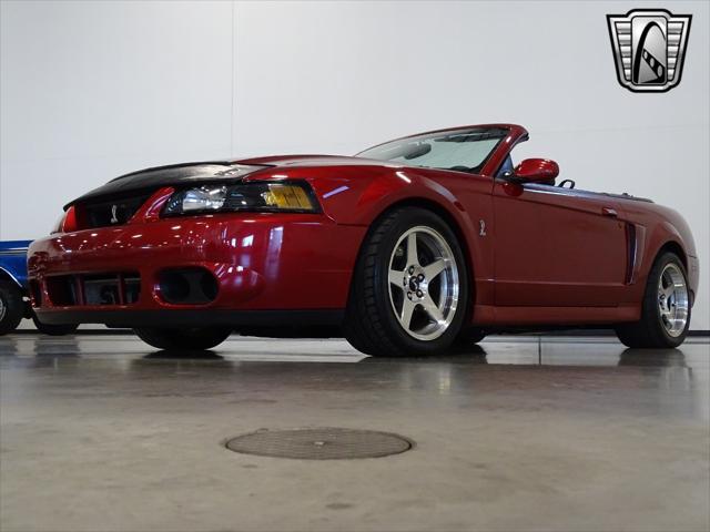 used 2003 Ford Mustang car, priced at $34,000