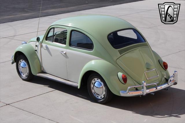 used 1964 Volkswagen Beetle (Pre-1980) car, priced at $19,000
