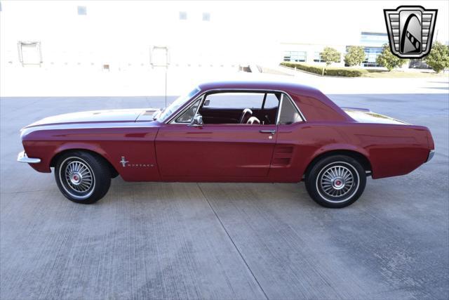 used 1967 Ford Mustang car, priced at $34,000