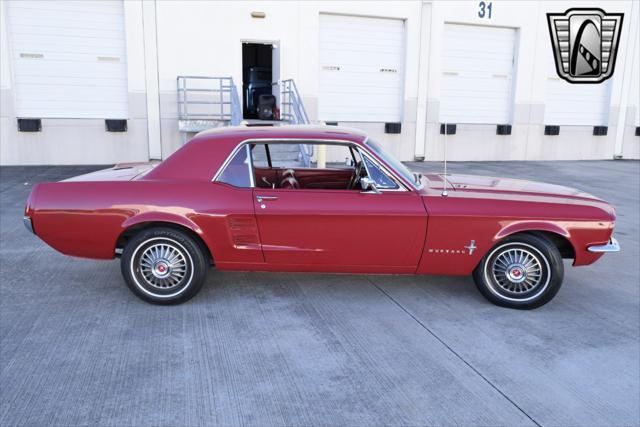 used 1967 Ford Mustang car, priced at $34,000