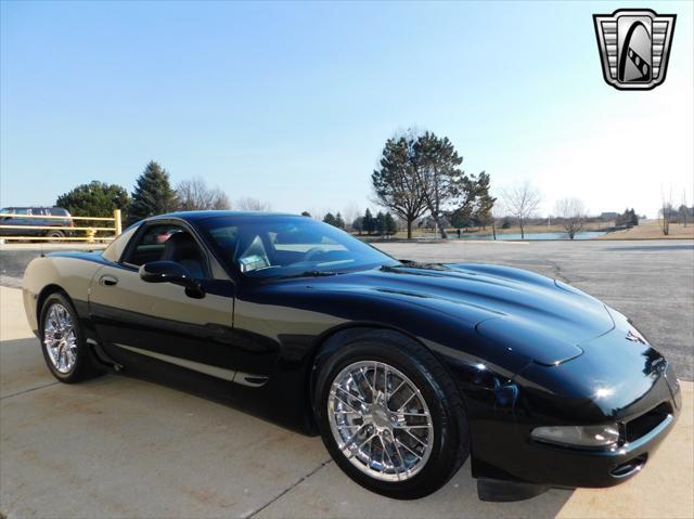 used 1999 Chevrolet Corvette car, priced at $19,000