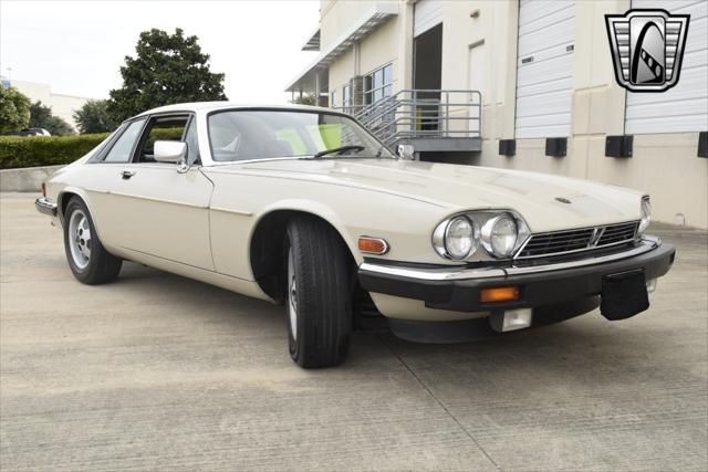 used 1984 Jaguar XJS car, priced at $14,000
