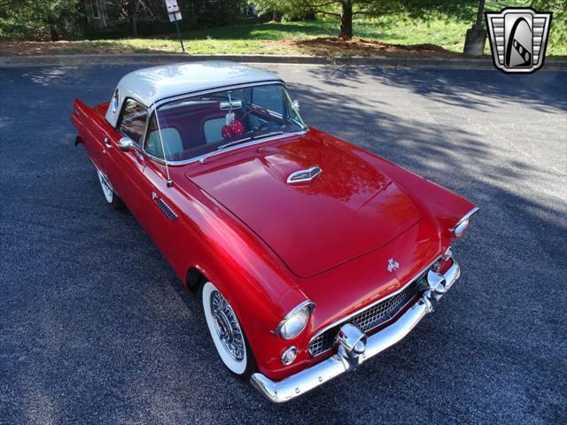 used 1955 Ford Thunderbird car, priced at $42,000