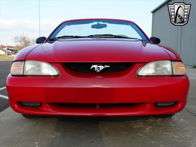 used 1996 Ford Mustang car, priced at $11,000