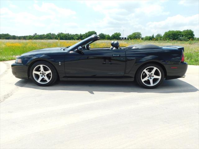 used 2003 Ford Mustang car, priced at $46,000