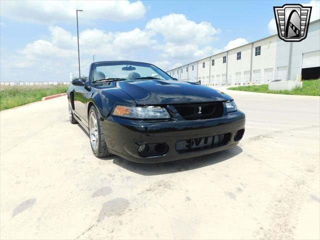 used 2003 Ford Mustang car, priced at $46,000