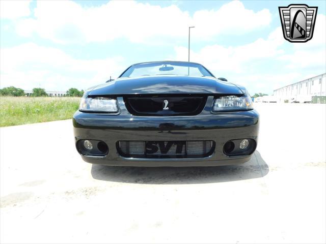 used 2003 Ford Mustang car, priced at $46,000