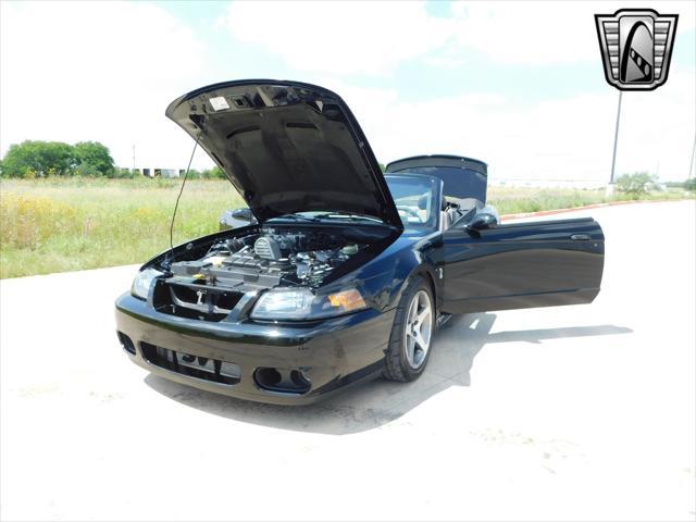 used 2003 Ford Mustang car, priced at $46,000