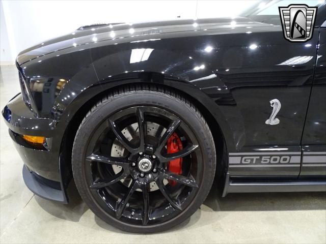 used 2007 Ford Shelby GT500 car, priced at $50,000