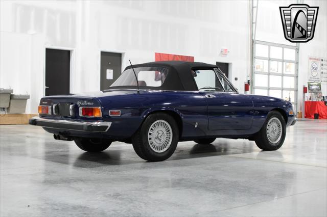 used 1973 Alfa Romeo Spider car, priced at $19,000