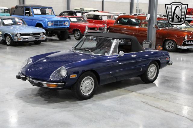 used 1973 Alfa Romeo Spider car, priced at $19,000