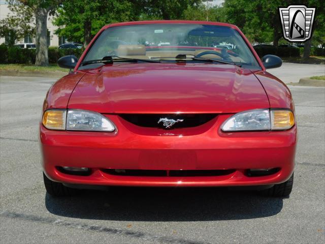 used 1997 Ford Mustang car, priced at $18,000