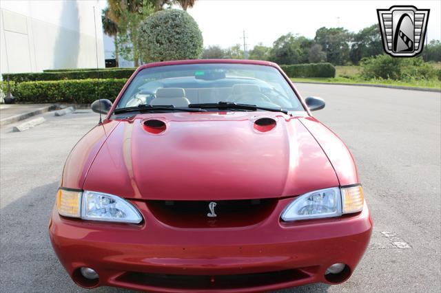 used 1998 Ford Mustang car, priced at $24,000