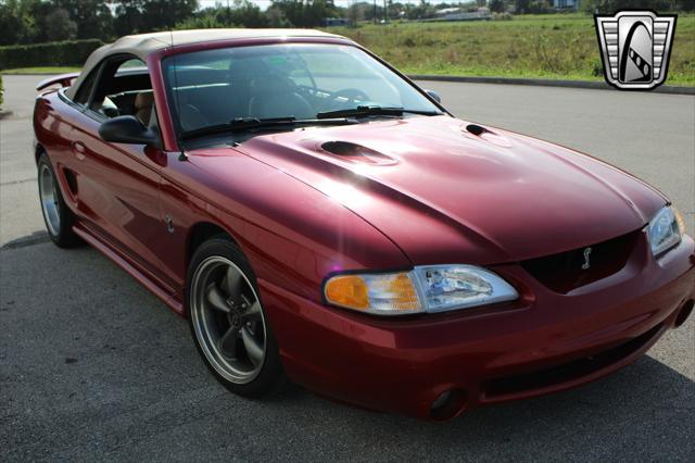 used 1998 Ford Mustang car, priced at $24,000