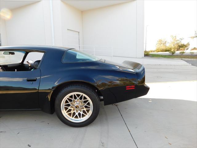 used 1979 Pontiac Firebird car, priced at $49,000