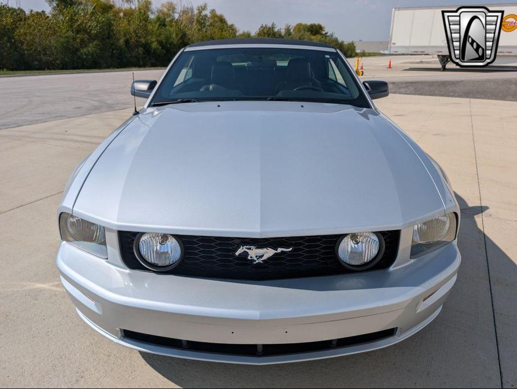 used 2005 Ford Mustang car, priced at $29,000